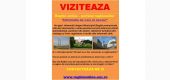 Publicitate online